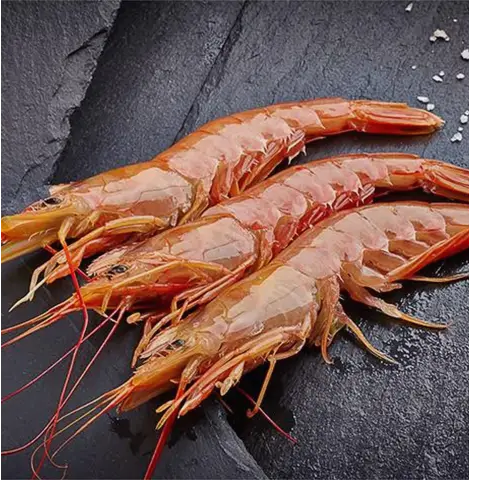 Argentine Red Shrimp
