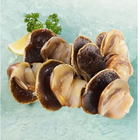 US Frozen Conch Meat (M) 2lbs