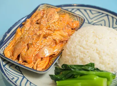 Numbing Spicy Hand Shredded Chicken with Rice