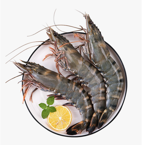 Tiger Prawn Approx. 600g