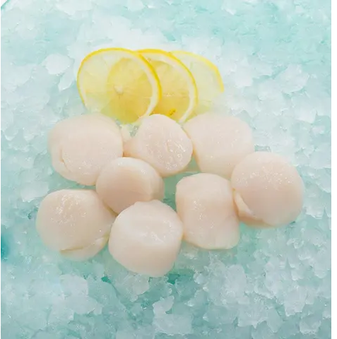 Japan Hokkaido Frozen Scallop U15 - Cooking 1 Pack