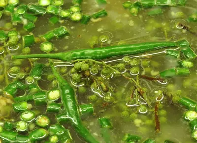 Spicy Pot with Green Sichuan Peppercorns